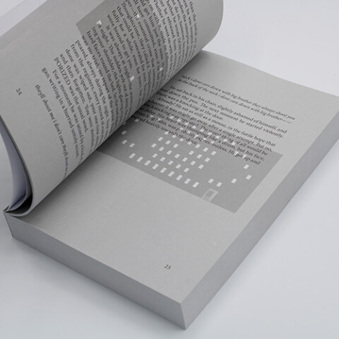 Flip-book novel